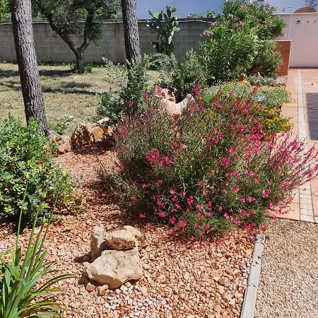 Villa Edoardo Con Pineta A 250 Metri Dal Mare
